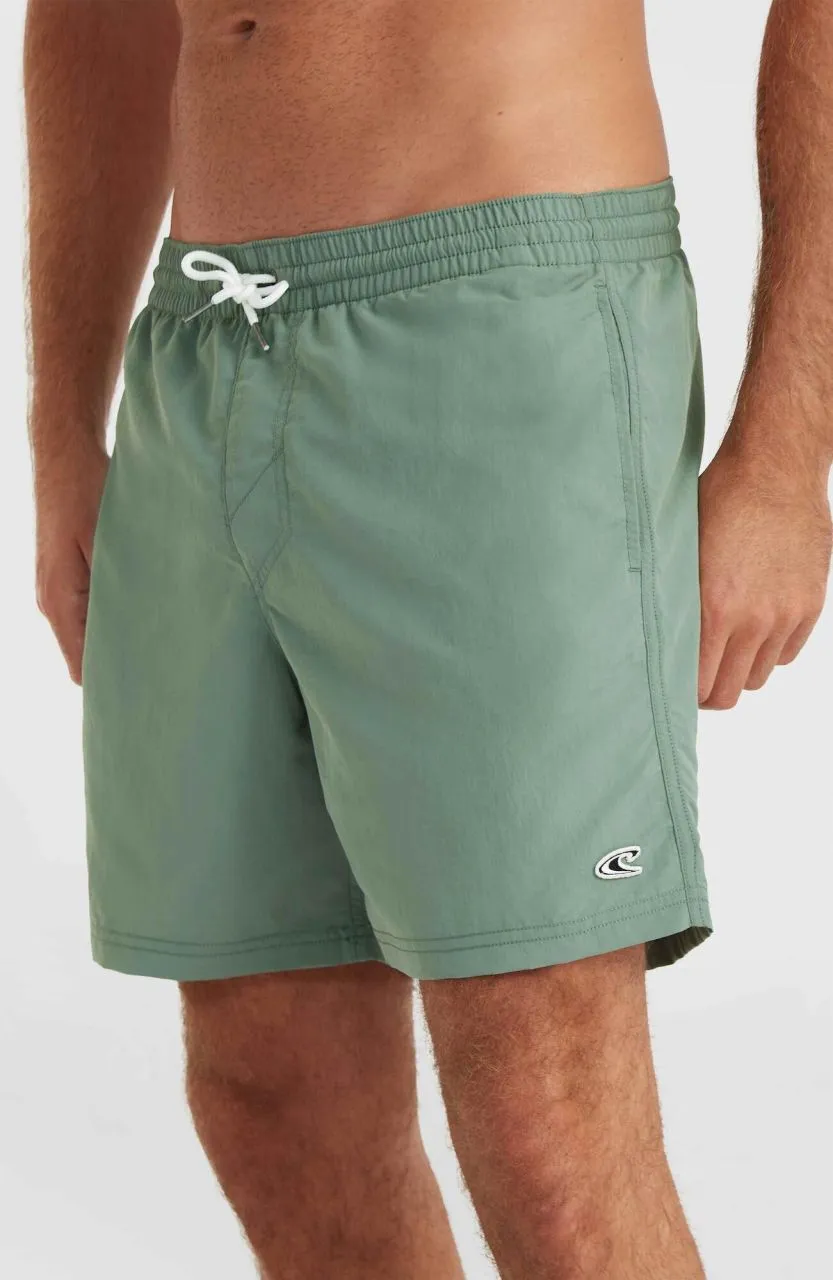 O'Neill Vert 16'' Swim Shorts - Herren Bademode